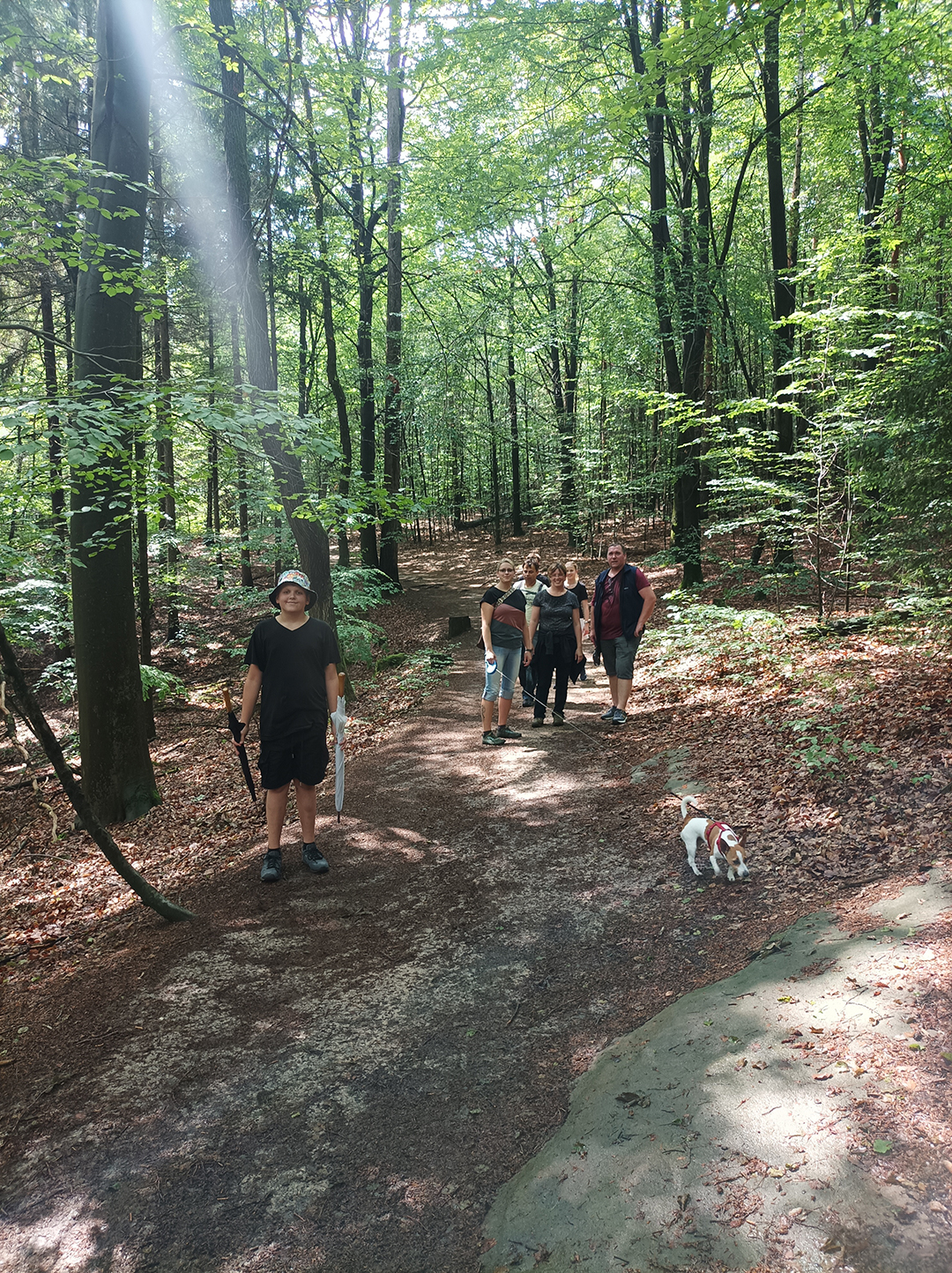 Bild 61